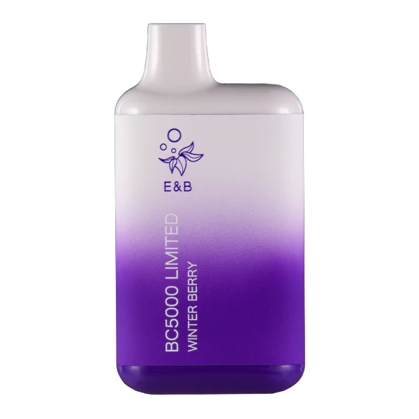 EB Create BC5000 Disposable Vape Winter Berry flavor with frosty berries and winter mint for a chilly fruit hit.