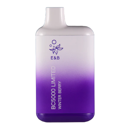 EB Create BC5000 Disposable Vape Winter Berry flavor with frosty berries and winter mint for a chilly fruit hit.