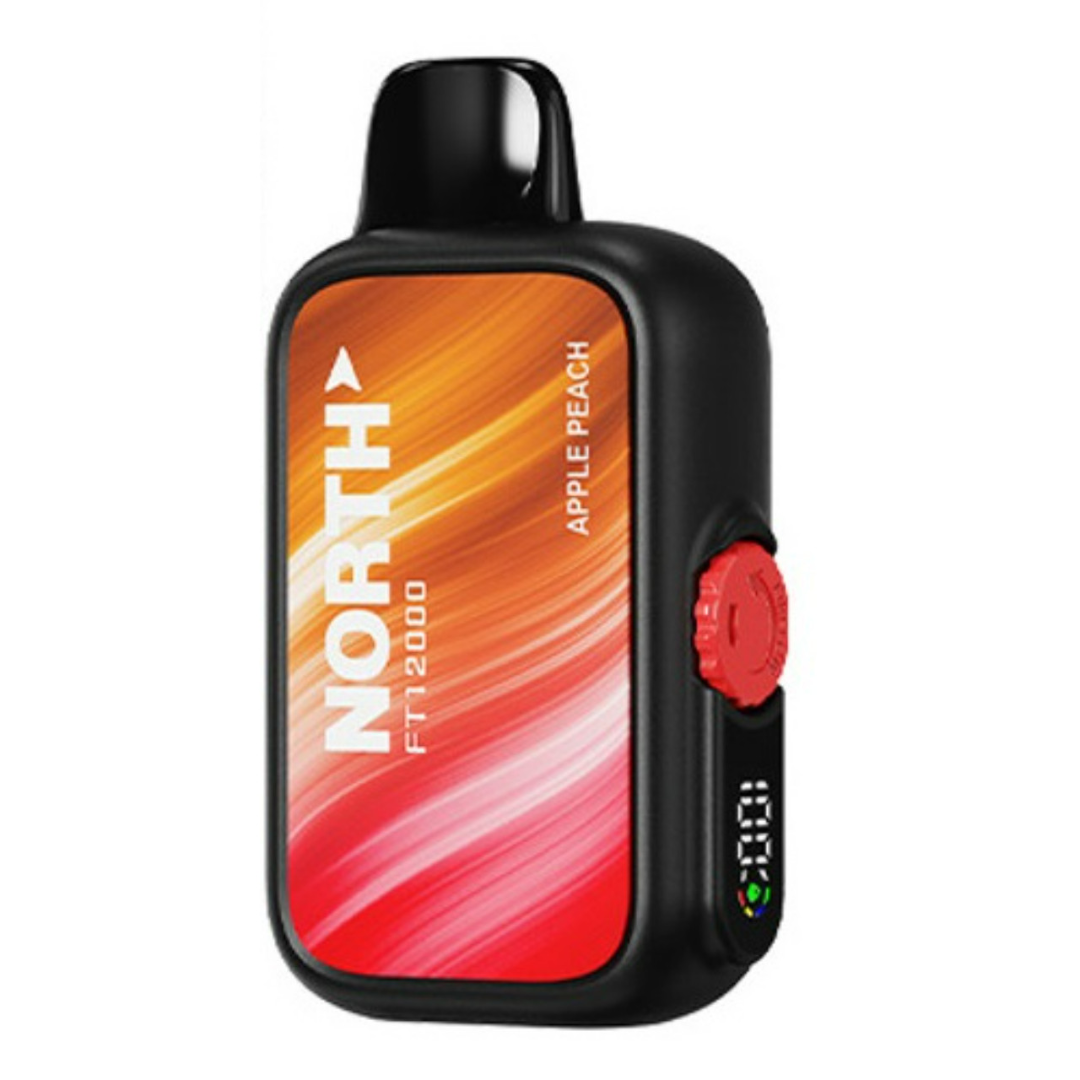 North FT12000 Disposable Vape - Buy Vapes USA