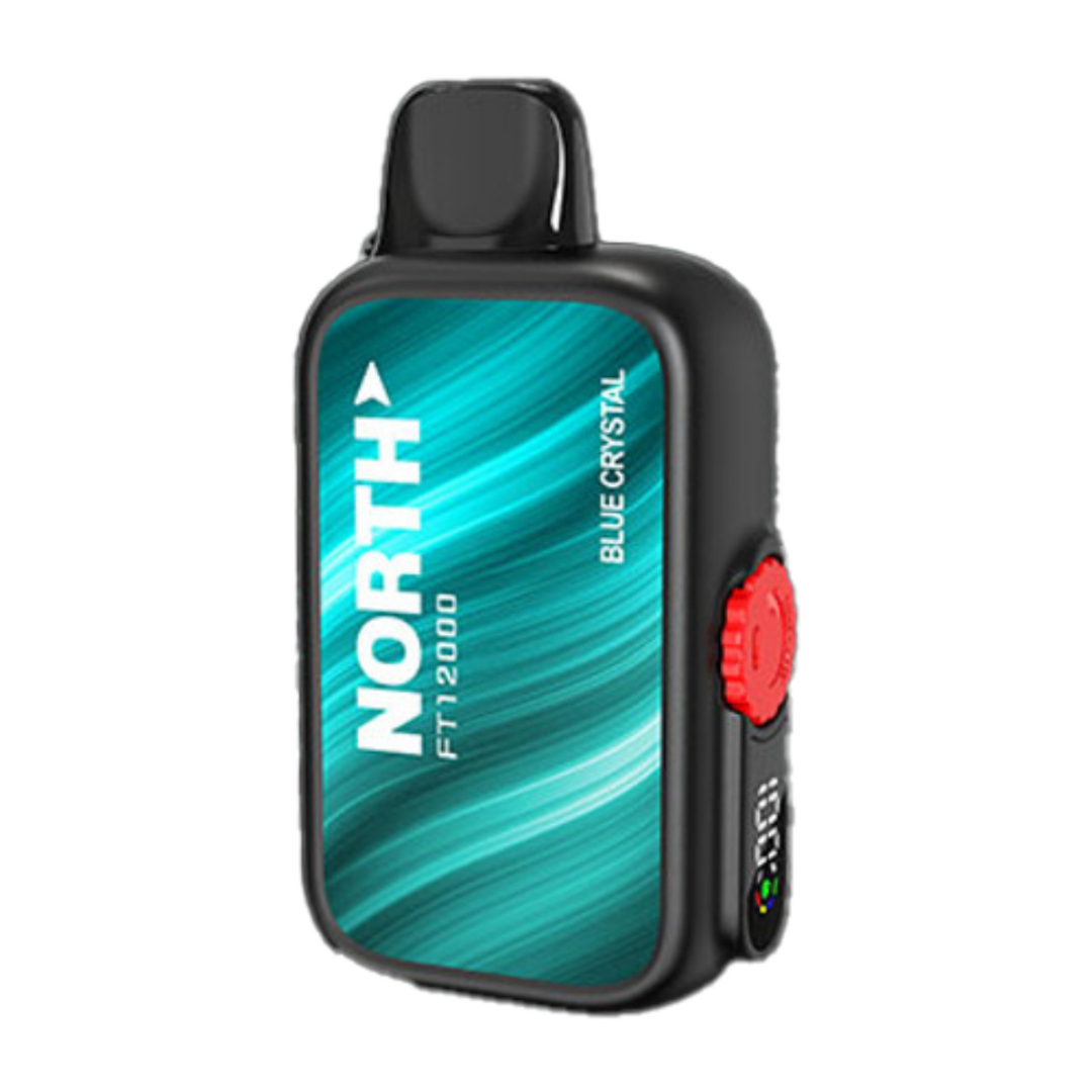North FT12000 Disposable Vape - Buy Vapes USA