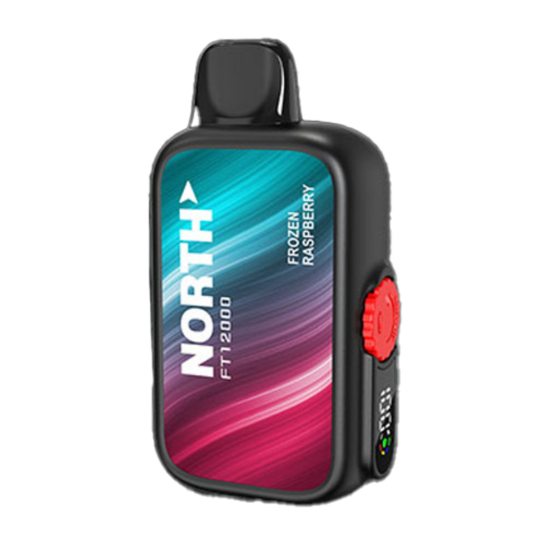 North FT12000 Disposable Vape - Buy Vapes USA