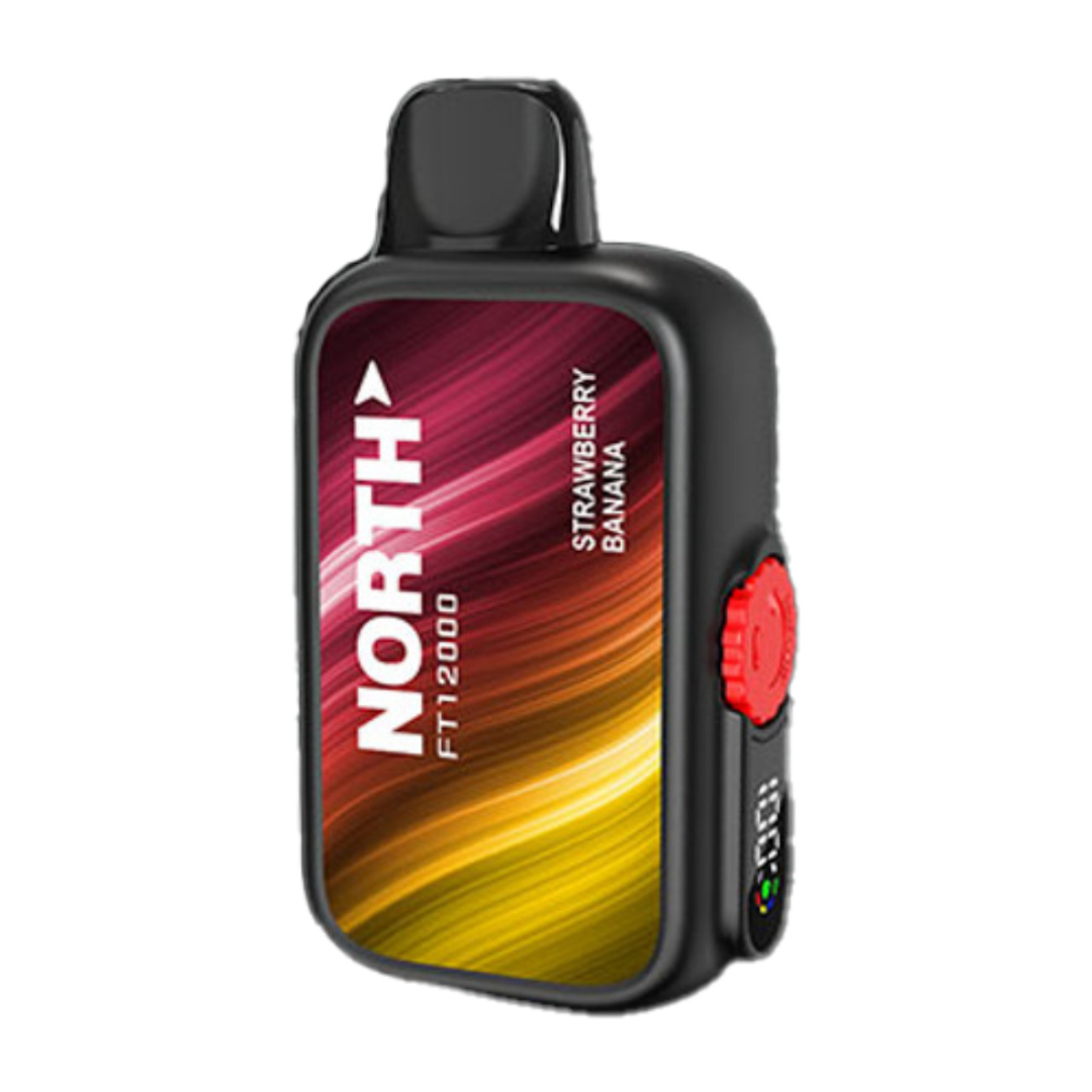North FT12000 Disposable Vape - Buy Vapes USA