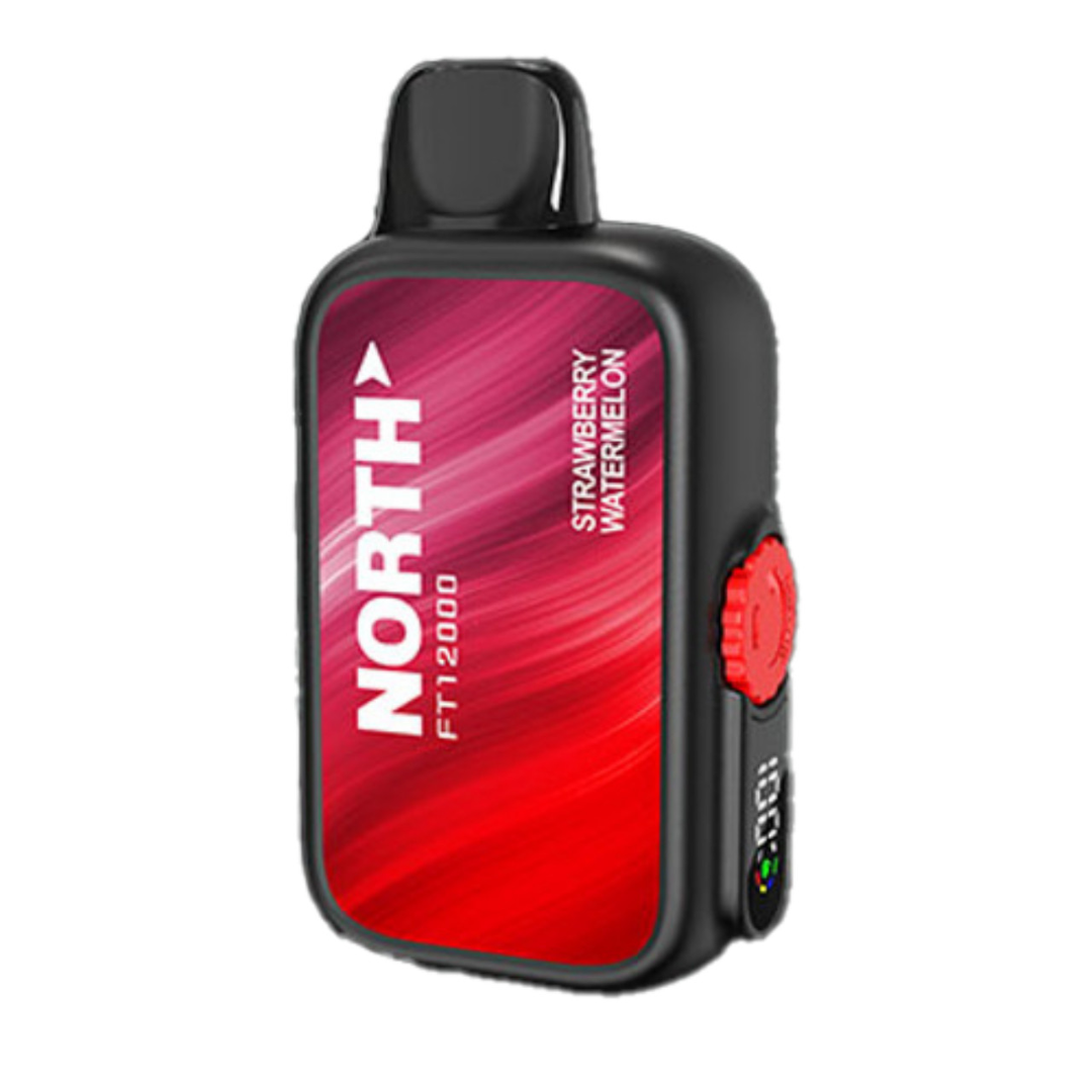 North FT12000 Disposable Vape - Buy Vapes USA
